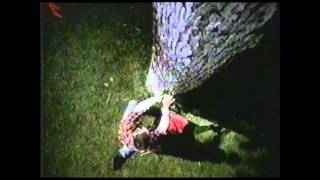 Molson Canadian - I Am Canadian - Tree (2003)