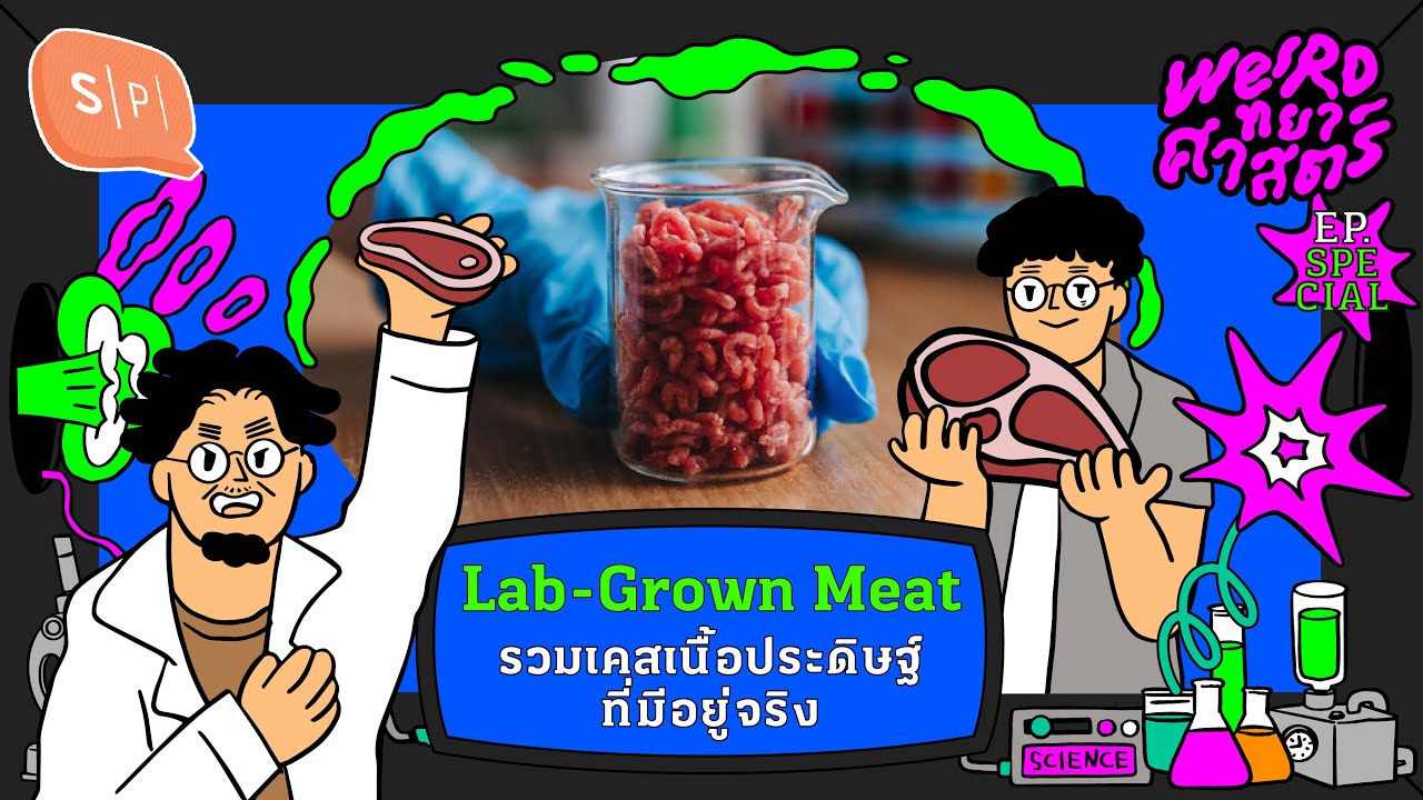 Lab-Grown Meat รวมเคสเนื้อประดิษฐ์ที่มีอยู่จริง | Weirdทยาศาสตร์ x Disney+ Hotstar