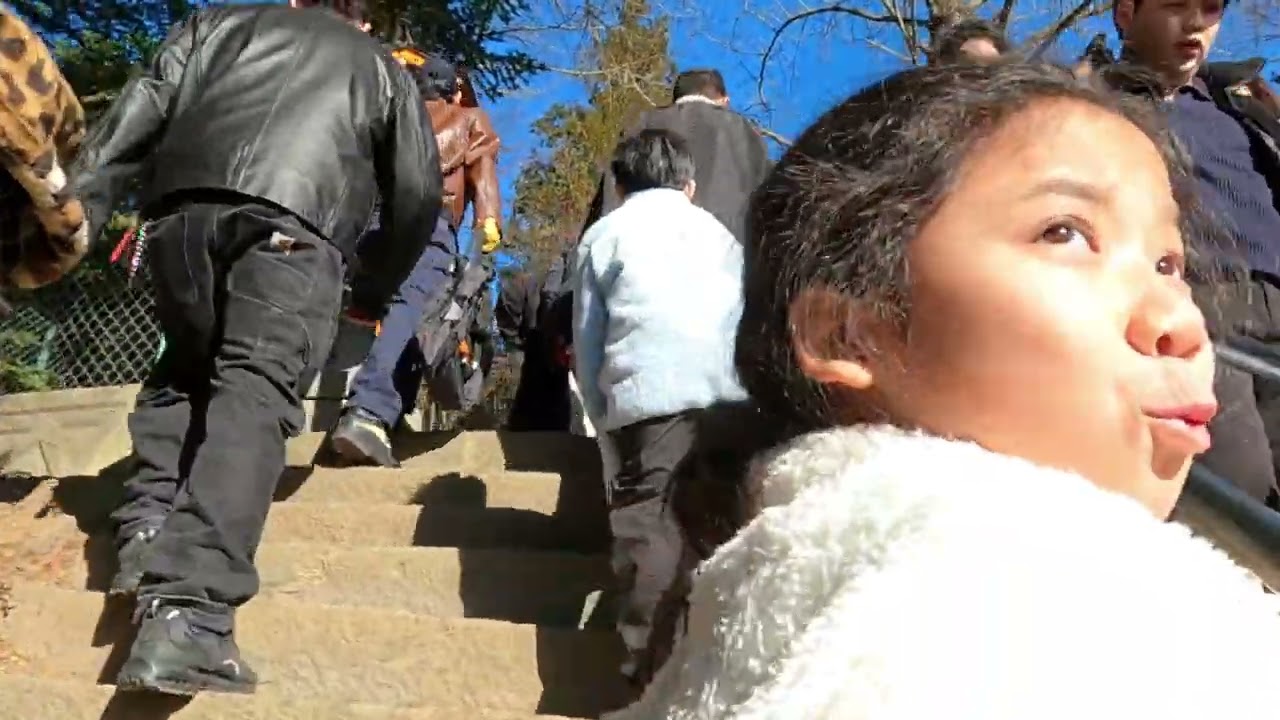 Japan New Year Road Trip (DAY6) 1Jan'26