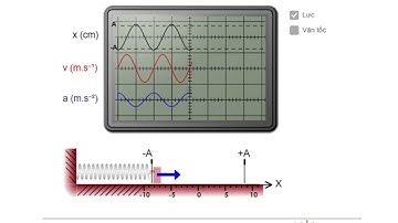 Video mô phỏng dao động điều hòa của con lắc lò xo