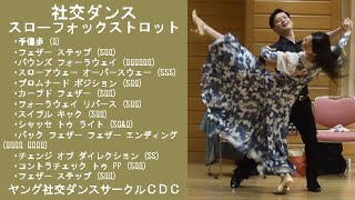 社交ダンス スローフォックストロット G3 バウンズフォーラウェイから