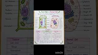 Plant Cell vs Animal Cell | Handwritten Science Notes | Easy Biology Project | Class 8–10
