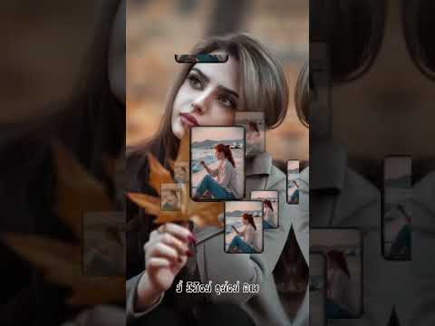 Song Music Trending Sinhaladj Viral Song 2025song Sinhalanewsongs