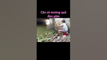 Câu mương bằng mồi rọ #fishing #câucá #giaitri