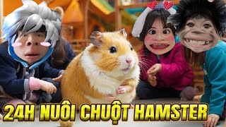 24 Giờ Nuôi Chuột Hamster - Trần Vy Vy Tập 33