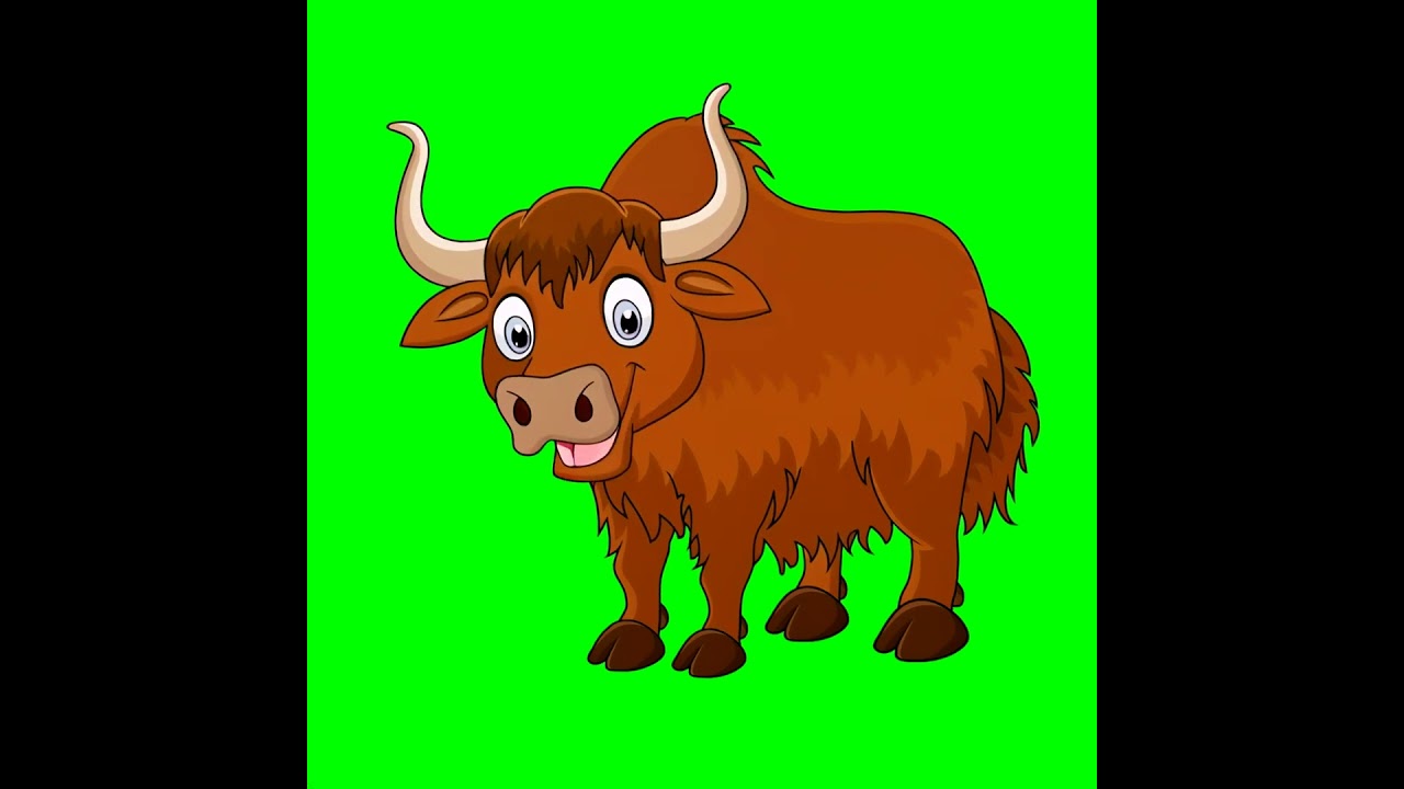 Green Screen Animated Yak | 2D Animated Yak For Animation | Free To Use  