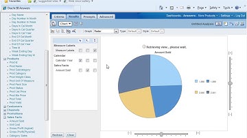 Oracle BI 11g Training Tutorials | OBIEE Online Tutorials - Part 12