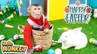 HAPPY EASTER DAY ๐| Monkey Bobo Excitedly Prepares For A Meaningful Easter ๐๐ฅ
