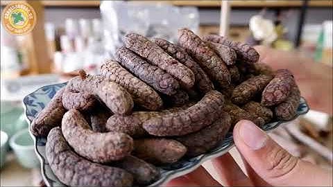 Chuối Hột Rừng Chín Mật Loại 1 - Chuối Hột Rừng Chín Cây Ngâm Rượu Thơm Ngon | 0901949898