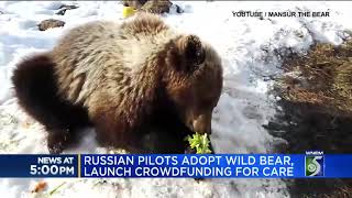 Russian Pilots Adopt Wild Bear