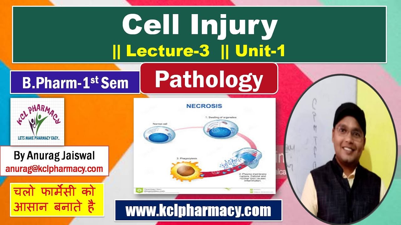 Cell Injury || L-3 Unit-1 || Pathology for BPharm 2nd sem - YouTube