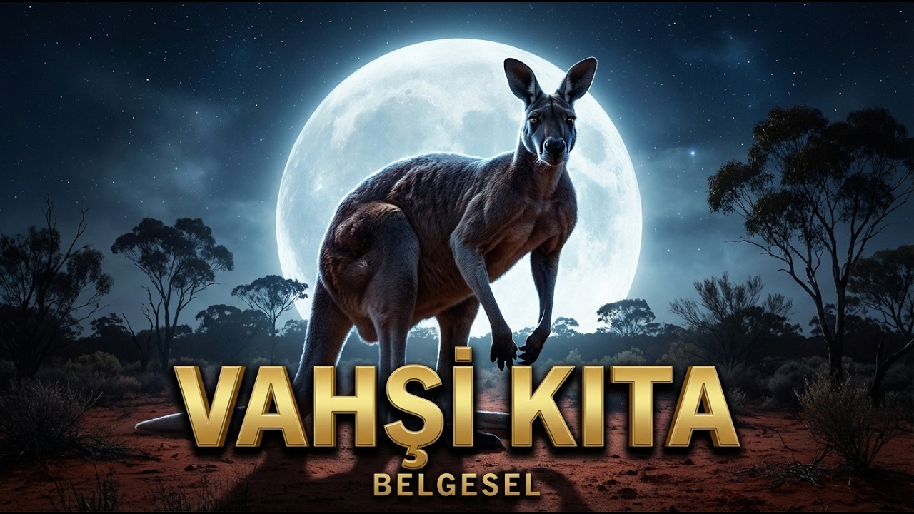 Avustralya: Dünyanın En Tehlikeli ve Eşsiz Vahşi Yaşamı