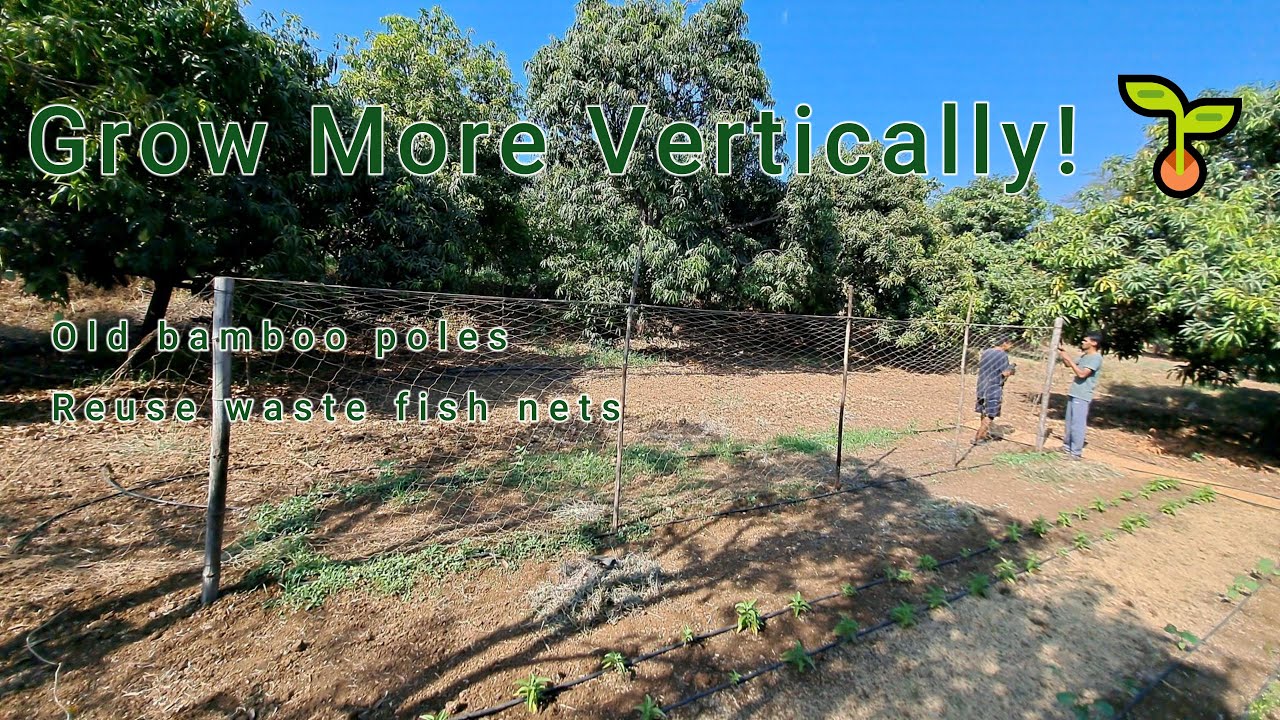 ♻️ Turn Waste into a Garden! | Vegetable Net from Bamboo & Old Net | बांस और पुराने जाल का उपयोग,