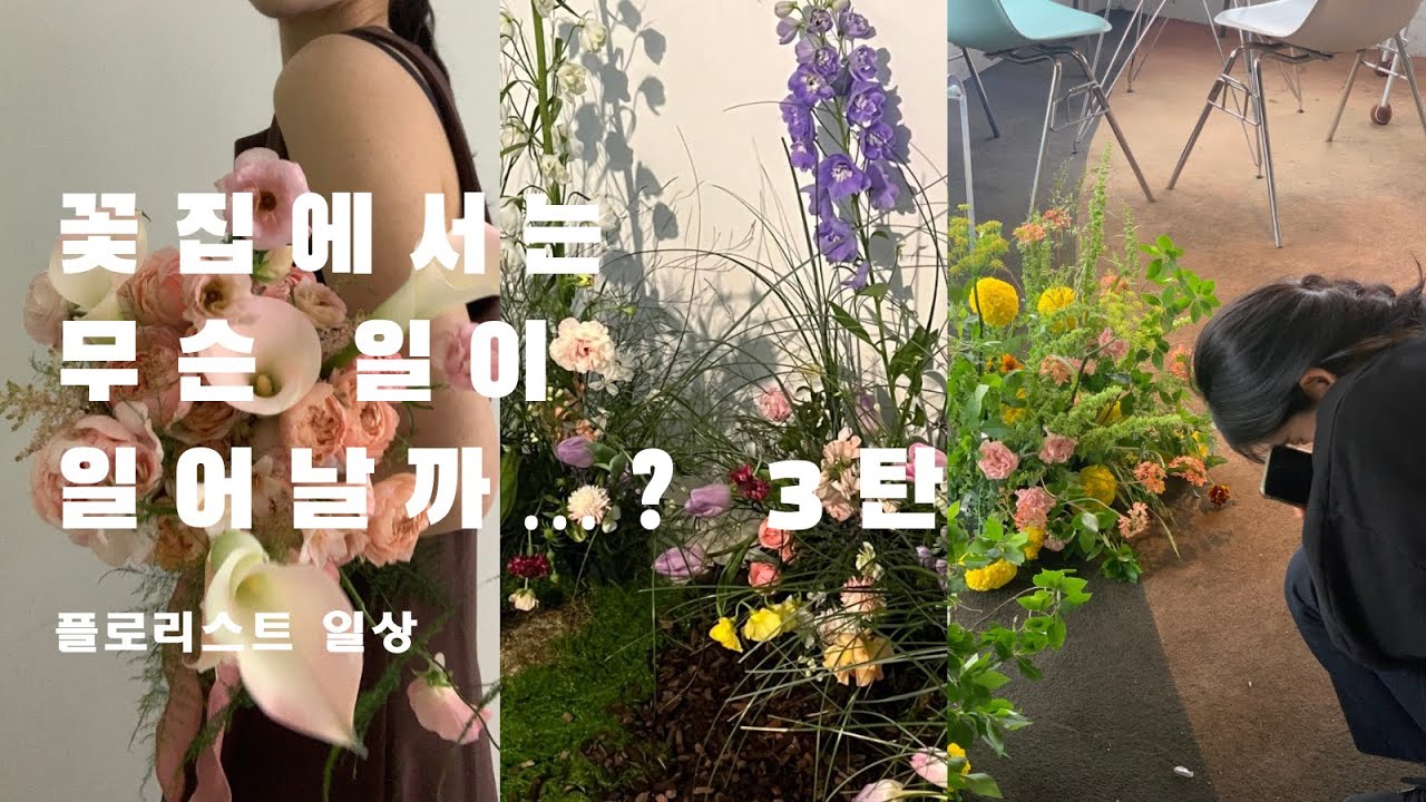 플로리스트브이로그 vlog 고터꽃시장갔다가 양재꽃시장갔다가 부케만들고 플라워디렉팅하는 꽃작업실일상 웨딩시즌시작(여권만들기,플로리스트일상,가을부케추천)