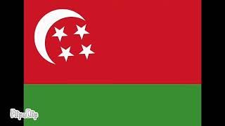 Historical flags of the Comoros🇰🇲