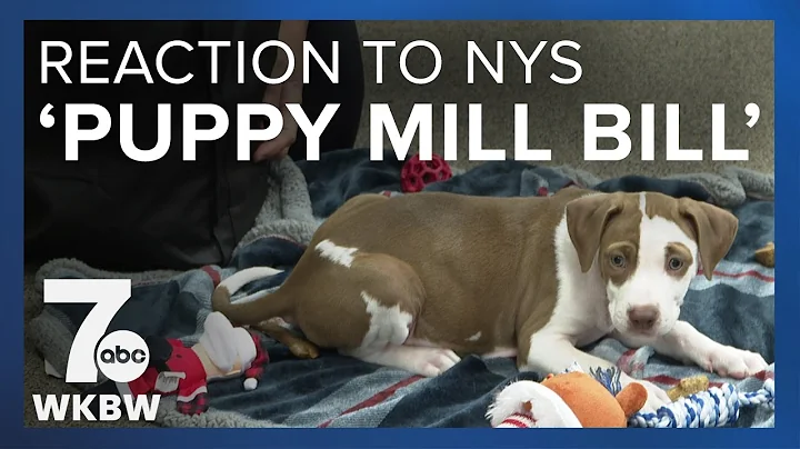 Celebration, disappointment over "puppy mill bill"...
