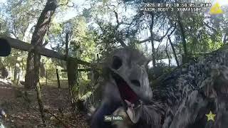 Florida Cop Arrests... An Emu?
