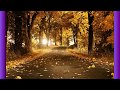 شيلة الحــــــــياة دروس 