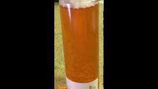 IMG 1680
