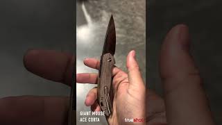 Giant mouse ACE Corta Quick View
