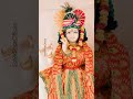 Bankebihari Girdhari #satvik #krishna #vrindavan #shorts