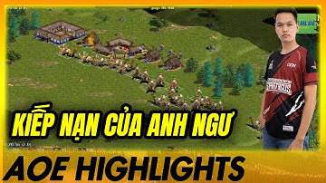 Kiếp nạn thứ 82 của Tiểu Thủy Ngư mang tên Chim Sẻ Đi Nắng | AoE Highlights #aoe