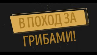 В поход за грибами! 13.09.21