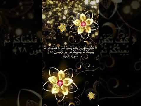 خلفيات دينية سورة البقرة آية 28