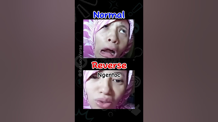 Sok Petantang Petenteng (reverse-subtitle) #shorts #reverse #lucu #memes