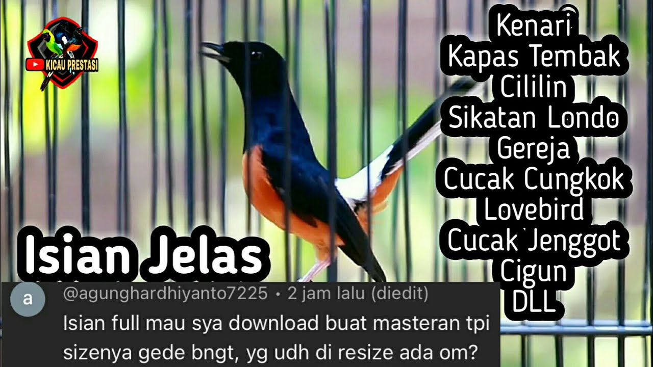 MASTERAN MURAI BATU FULL ISIAN TEMBAKAN MEWAH JELAS MUDAH DI TIRU