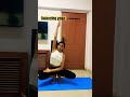 Balancing yoga practice #ytshorts #shorts #youtube #yogapractice #motivation #yogachallenge