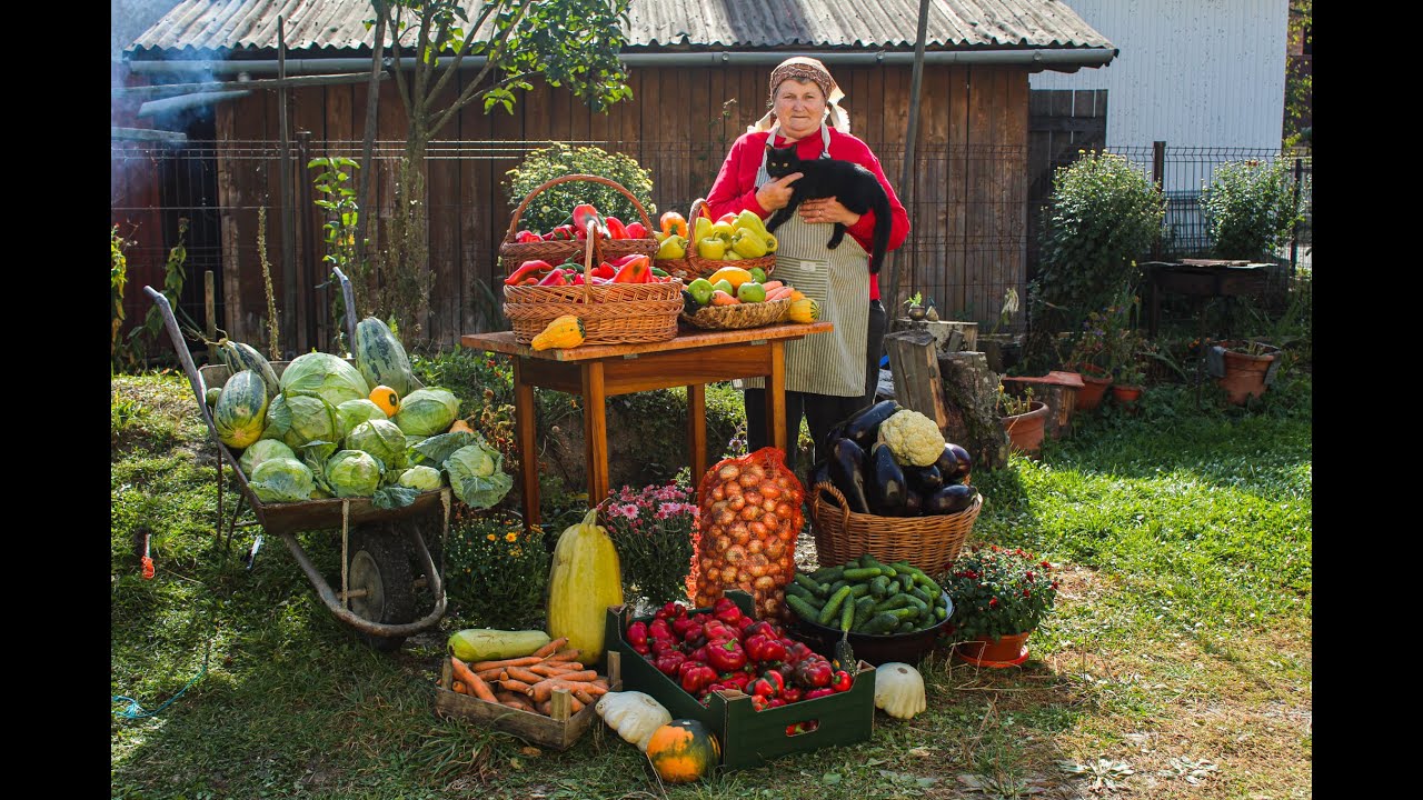 ПРИГОТОВЛЕННЫЙ ОБЖАРЕННЫЙ Овощной паштет ZACUSCA (на растительной основе и ВЕГАНСКИЙ)