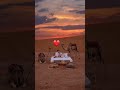 Scopri il Marocco Con Iguanasaharatours.Marocco Viaggi Tour Operator #motorcycleviaggimarocco