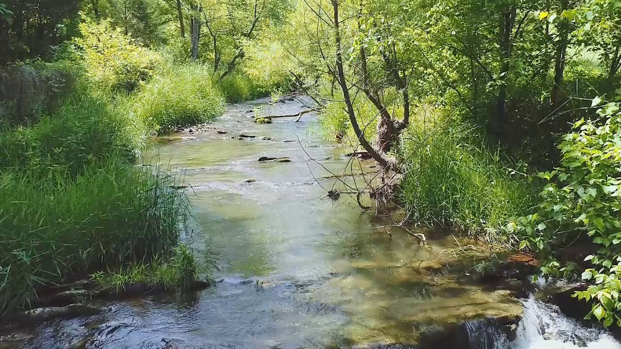 281 Black Sheep Hollow Sneedville TN