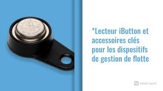 Teltonika IBUTTON