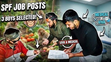 3 SPF Job post🤣🤣🙏 Qualification 1st to PHD Holder,Funny 🤣🤣 Video , Entertainment 🤪❤️🙏🐒🐒Sugad PF