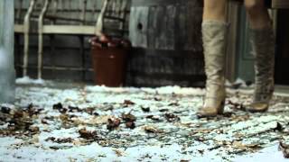 Winter 2012 Campaign