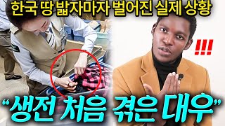 한국 땅 밟자마자 한국인이 나에게 한 충격적인 행동