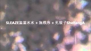 20110728死蚊子ShebangA@Revolver