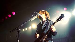 浅井健一 - 見た事もない鳥