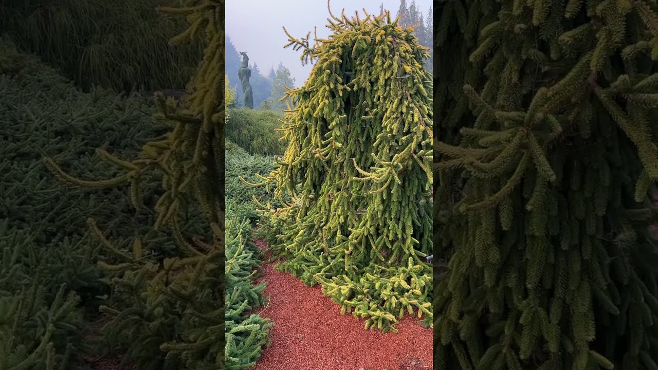 Flora Wonder Arboretum. Fall is in the air. Happy Halloween