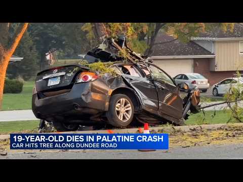 Schaumburg man killed after crashing into tree, Palatine police say