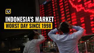 Indonesia's Stock Market Crashes 11%: What Went Wrong | Century Financial