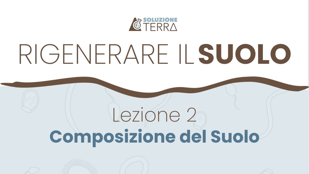 Lezione 2 - La composizione del suolo: minerali, materia organica e microbiologia