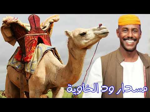 ودالخاويه مسدار ودالخاوية