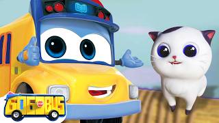 Kitty Cat Song🐱Day Out With GoGoBus And Cat 🚌 Kids Songs