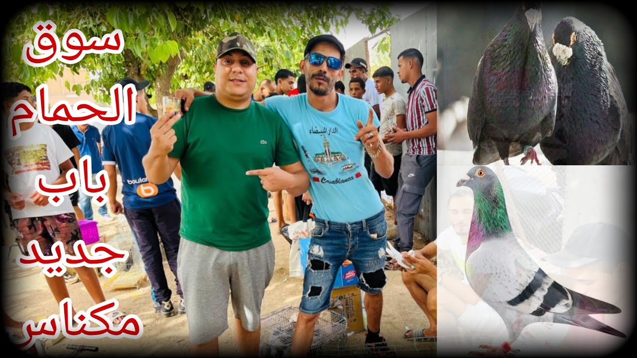 سوق الحمام 🕊️🕊️باب جديد بمدينة✌️ مكناس فرجه ممتعه🤩