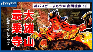 【バスが無い!!】大雄山最乗寺 | 紅葉狩 | 恐怖の暗闇徒歩下山 @第二回あしがら灯りの祭典