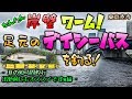かんたん岸壁ワーム！足元のデイシーバスを釣る！ - 夏の短時間釣行、出勤前にもオススメですw編 - 東京港湾エリア