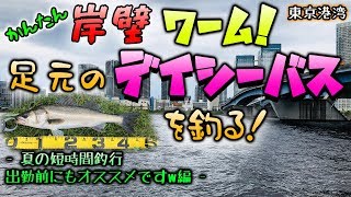 かんたん岸壁ワーム！足元のデイシーバスを釣る！ - 夏の短時間釣行、出勤前にもオススメですw編 - 東京港湾エリア
